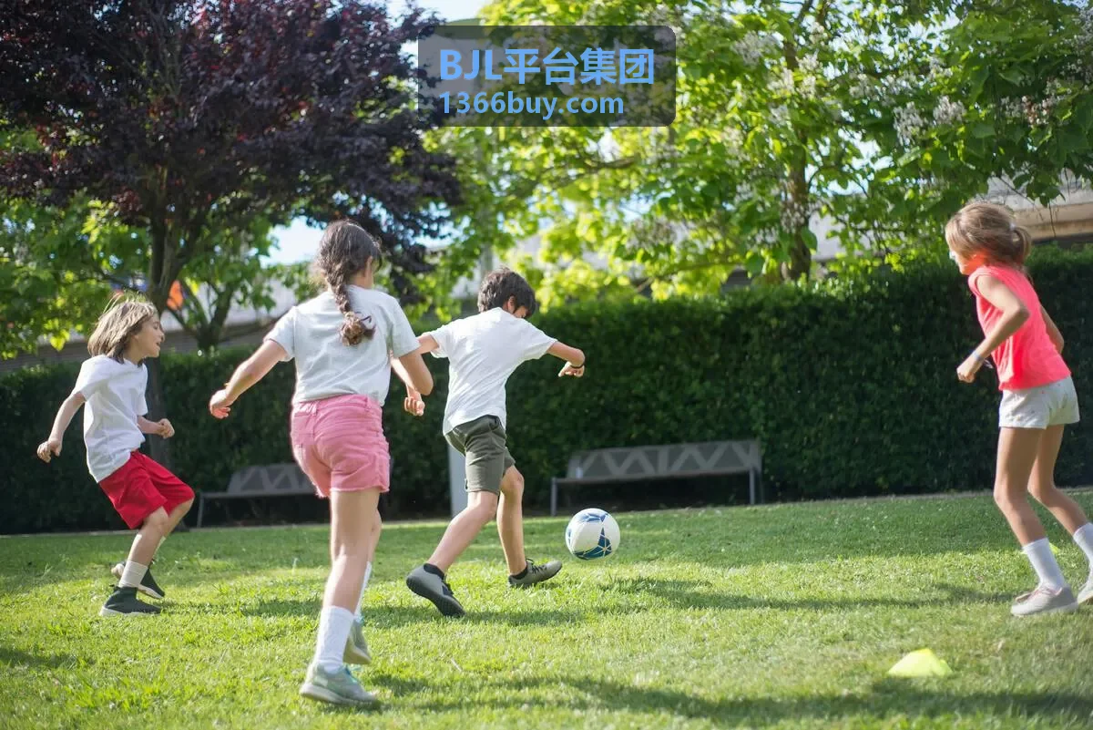 BJL平台集团 交易中台模块