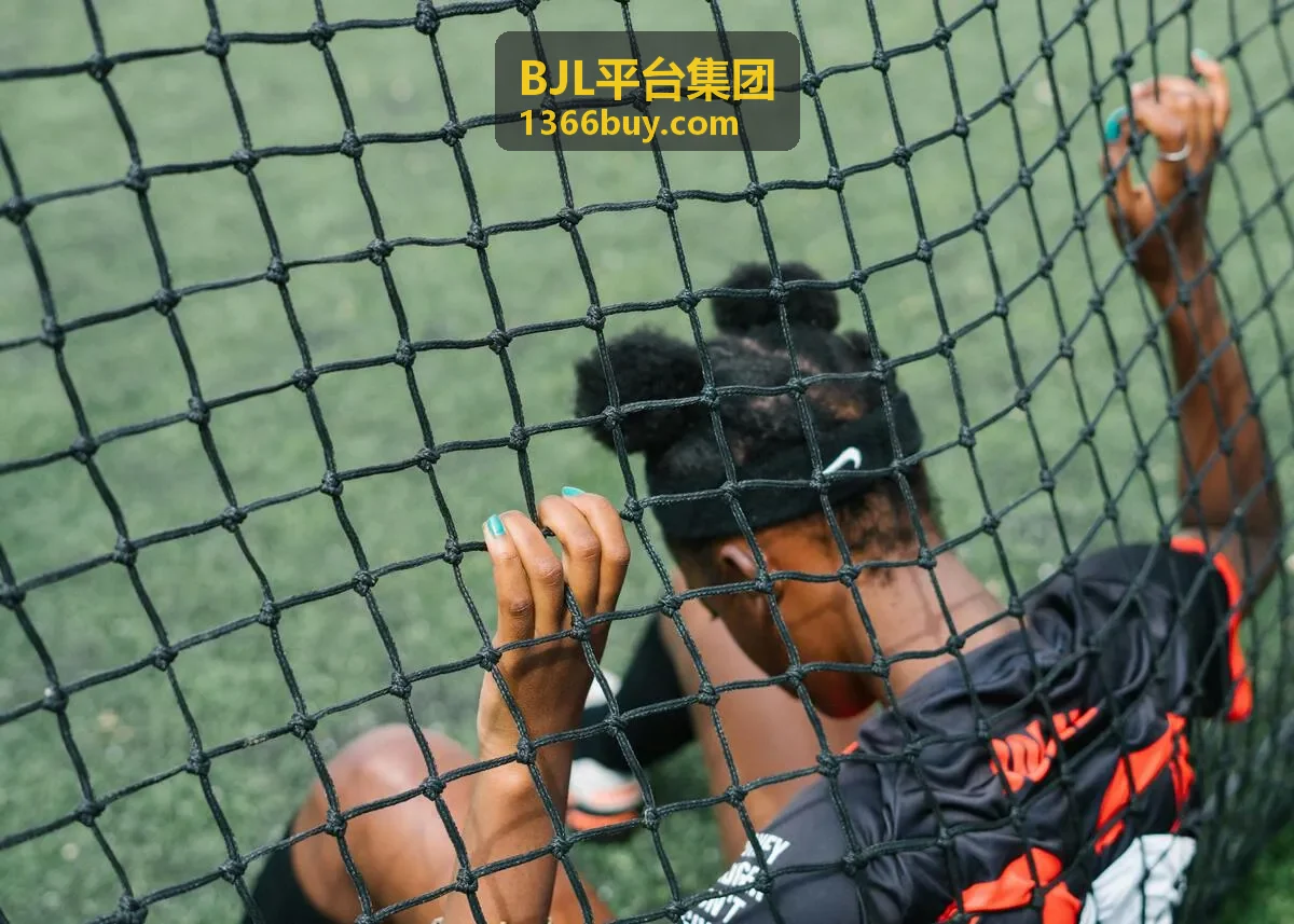 BJL平台集团 用户增长引擎